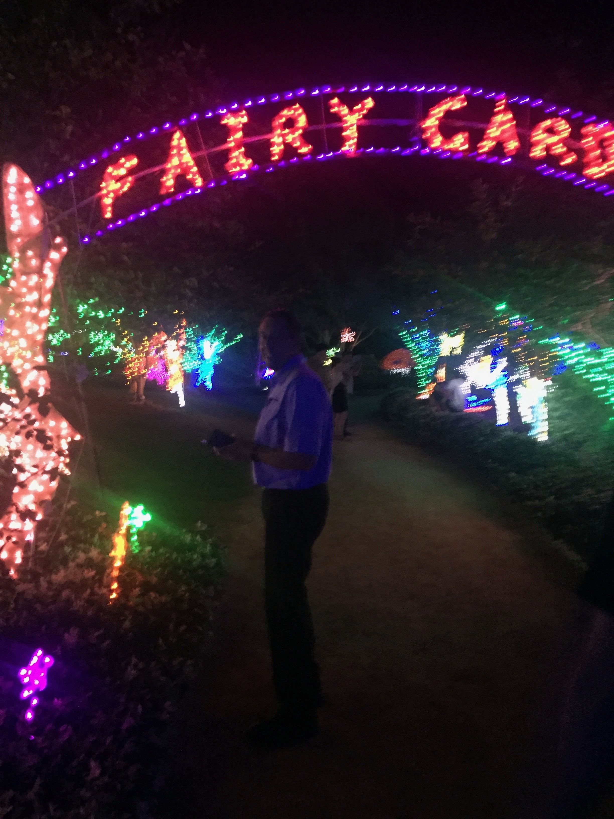Hunter Valley Christmas Lights Spectacular Image -5b3abbe00747c